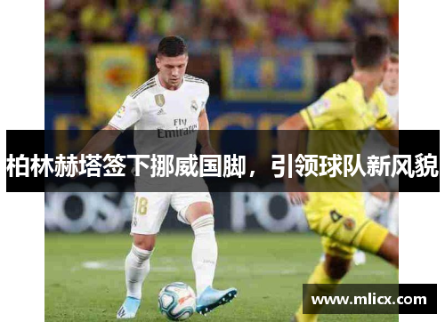 柏林赫塔签下挪威国脚，引领球队新风貌