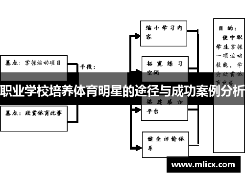 职业学校培养体育明星的途径与成功案例分析