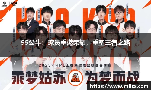 95公牛：球员重燃荣耀，重塑王者之路